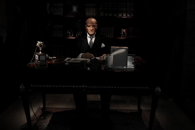 Portrait of a focused professional